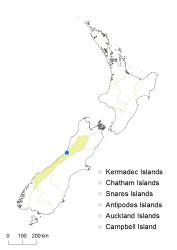 Cardamine occulta distribution map based on databased records at AK, CHR, OTA & WELT.
 Image: K.Boardman © Landcare Research 2018 CC BY 4.0